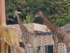 -哈尔滨北方森林动物园