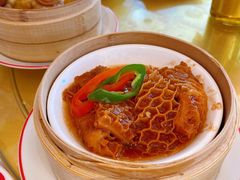 -咖啡苑 - 蔚藍夏日限定主题(永利皇宫店)