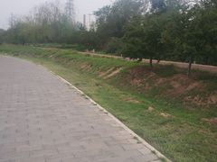 -永定河休闲森林公园