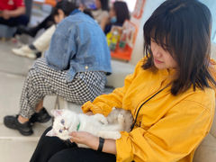 -lincat·猫舍(广州店)