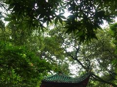 -岳麓山风景名胜区