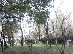 -大宁灵石公园西门票处