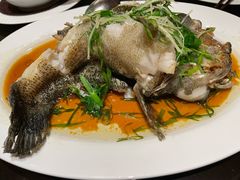 -桃源春晓中餐厅 TaoYuan Restaurant