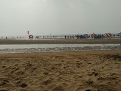 -日照海滨国家森林公园