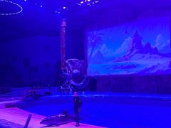 -华夏文旅海洋公园