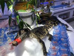 -澜悦港海鲜体验主题餐厅