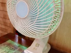 -鱼来顺纸上烤鱼