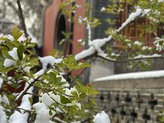 -泰山风景名胜区-普照寺