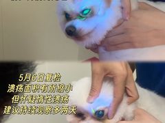 -佳佳动物医院