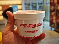 -三元梅园(团结湖店)