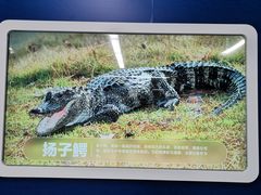 -取水楼(地铁站)