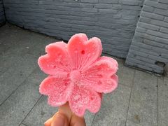 -桃花堤公园
