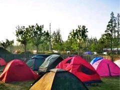 -前小桔亲子创意农场·草莓采摘·露营烧烤