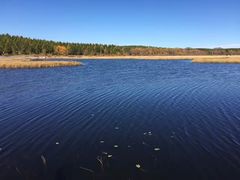 -塞罕坝国家级自然保护区