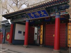 -张掖大佛寺景区