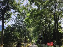 -西海子公园
