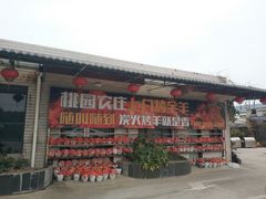 -桃园农庄烤全羊(江秋路店)