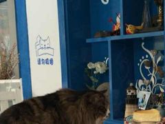 -Anne猫窝咖啡屋
