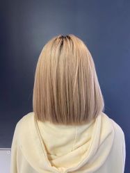 点击看大图 -金棕榈