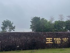 -王借岗森林公园