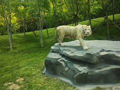 -北京野生动物园