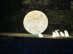 -第一山景区