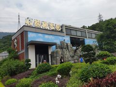 -泉州海丝野生动物世界