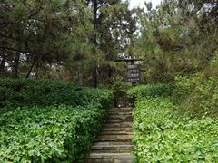 -北京张裕爱斐堡酒庄