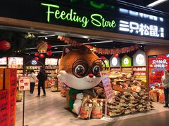 门面-三只松鼠(北美N1店)