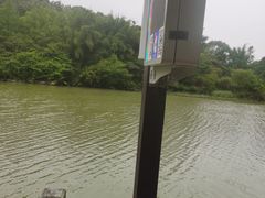 -九鲤湖风景区