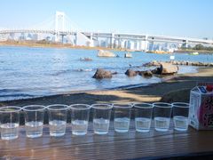 -台场海滨公园船码头