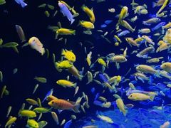 -成都浩海立方海洋公园