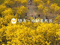 -松山湖南湖湾露营营地