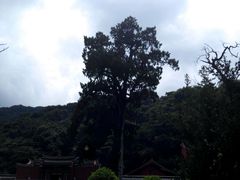 -灵光寺