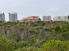 -霞山观海长廊