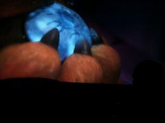 -博纳国际影城(淄博店)