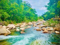 -海南热带雨林国家公园吊罗山景区