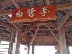 -北海金海湾红树林生态旅游区