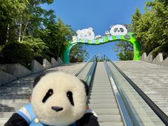 -五龙山野生动物王国