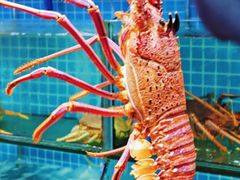 -南海渔家•海鲜•正宗海南菜(海棠湾店)