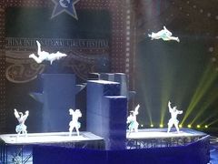 -珠海横琴长隆《卡卡虎奇遇记》