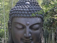 -杭州植物园
