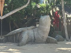 -海南分界洲岛旅游区