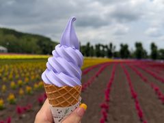 -富田农场