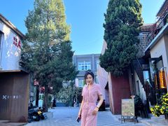 -北京国子监胡同