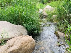 -碓臼峪自然风景区