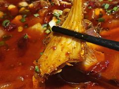 -老号尤兔头(幸福店)