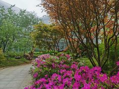 -南山植物园
