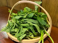 薄荷-楠小云·云南鲜菌·鲜牛自助火锅(九眼桥店)
