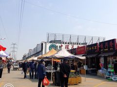 -中环花鸟鱼虫市场